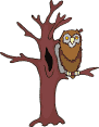 owl in tree  animations