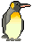penguin  animations