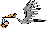 stork  animations