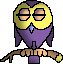 owl  animations