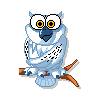 owl animation