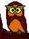 owl animation