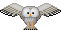 owl animation