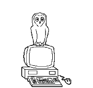 owl with computeranimation