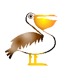 pelican animation