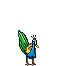 peacock animation
