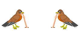 robins with a worm  animations