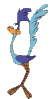 road runner  animations