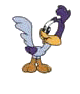 road runner  animations