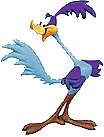 road runner  animations