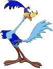 road runner  animations