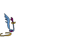 road runner  animations