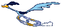 road runner  animations