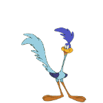 road runner  animations