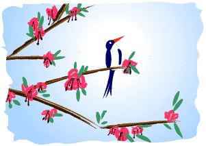 singing bird animations