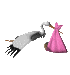 stork with baby  animations