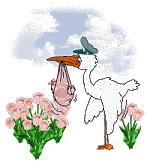  stork with baby animations