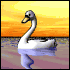 swan  animations