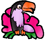 toucan  animations