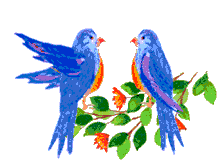 blue birds animations