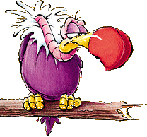 crying vulture  animations