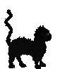boo! Black Cat  animation