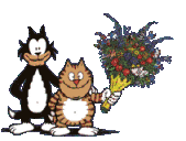 cats with flowers animation