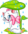 cat sheltering from the rain animation