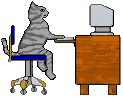 cat at a computer animation