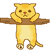 ginger cat animation