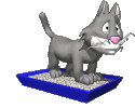 cat on a litter tray animation
