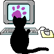 cat on a computer animation