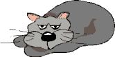  grey cat  animation