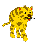 ginger cat  animation