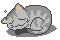  grey cat asleep animation
