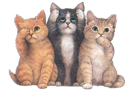  3 kittens animation
