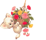 cat swinging on a basket of flowers animation
