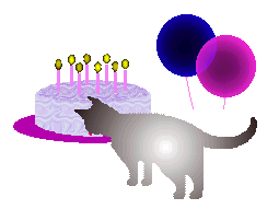 cat and birthday cake  animation