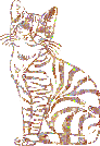 ginger striped cat animation