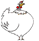 fat white chicken animation