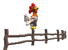 rooster crowing on a fence animation