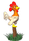 rooster crowing on a post animation