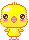 little chick animation