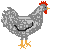 grey hen animation