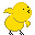 little chick animation