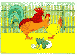 rooster throttling hen with elephant in egg animation