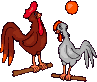 cockeral and hen animation