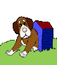 dog in dog house animations