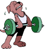 dog weightlifting animations