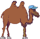 camel and arab  animation